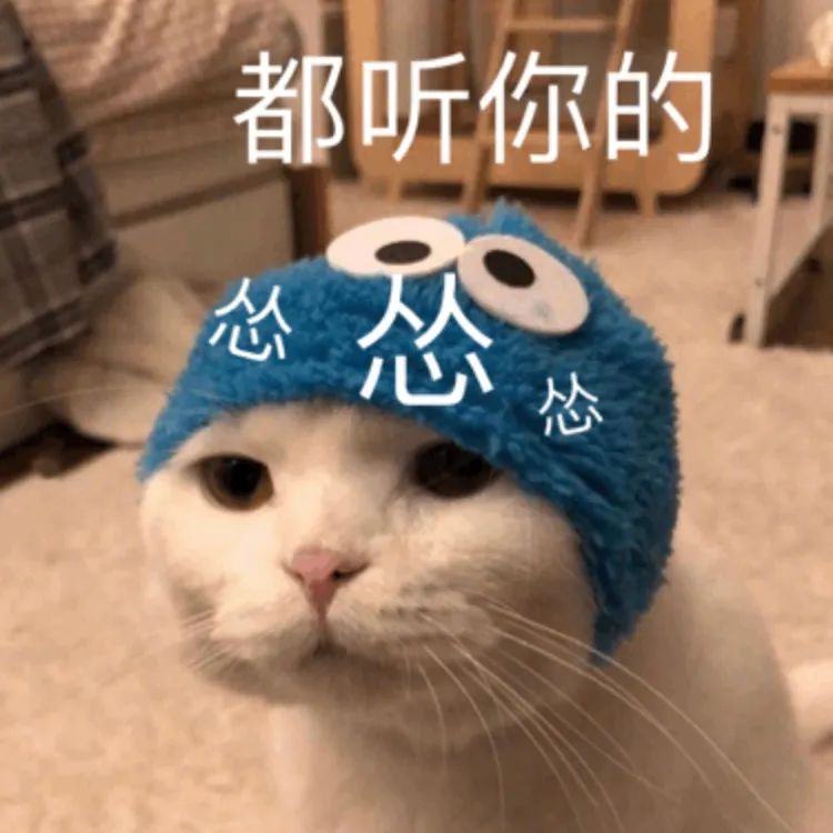 DƬ